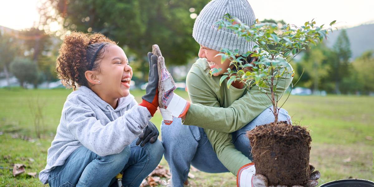 understanding childrens experiences
